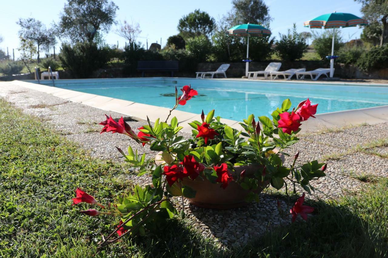 Agriturismo Tinti Montiano  Exterior photo