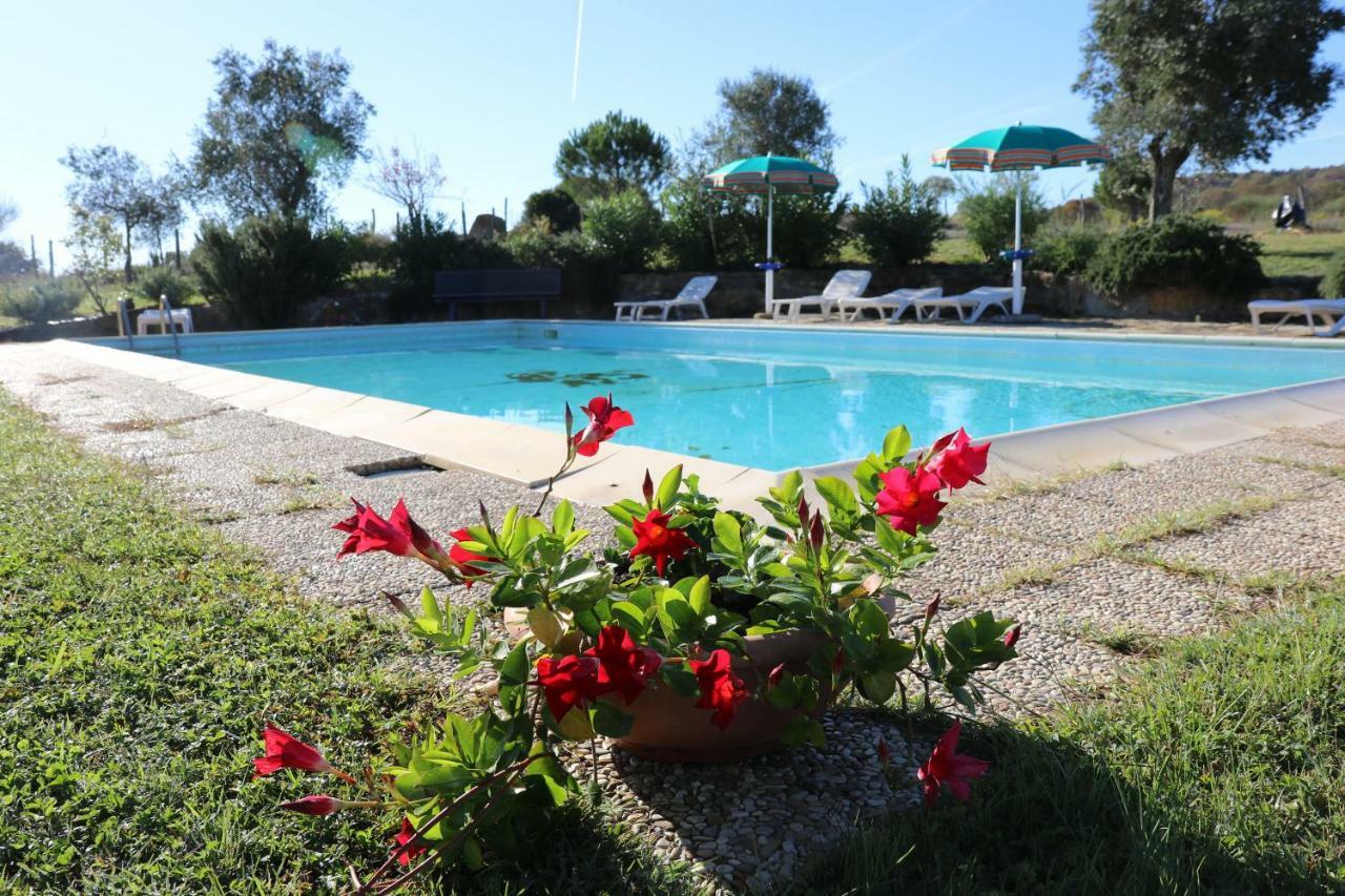 Agriturismo Tinti Montiano  Exterior photo